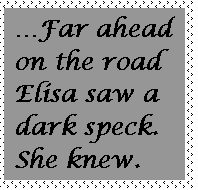 Text Box: Far ahead on the road Elisa saw a dark speck. She knew.